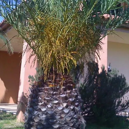 Sole San Teodoro (Sardinia)